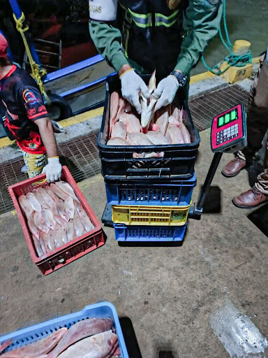 Inspeccionan productos pesqueros en Falcón para exportar a Europa